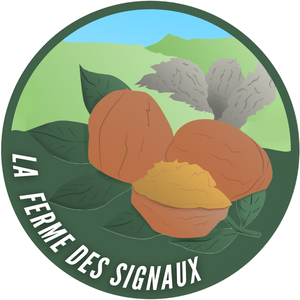 GMV OPTIQUE NATURELLE
